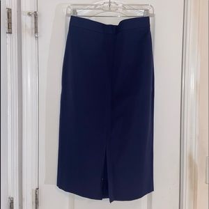 Banana Republic Skirt